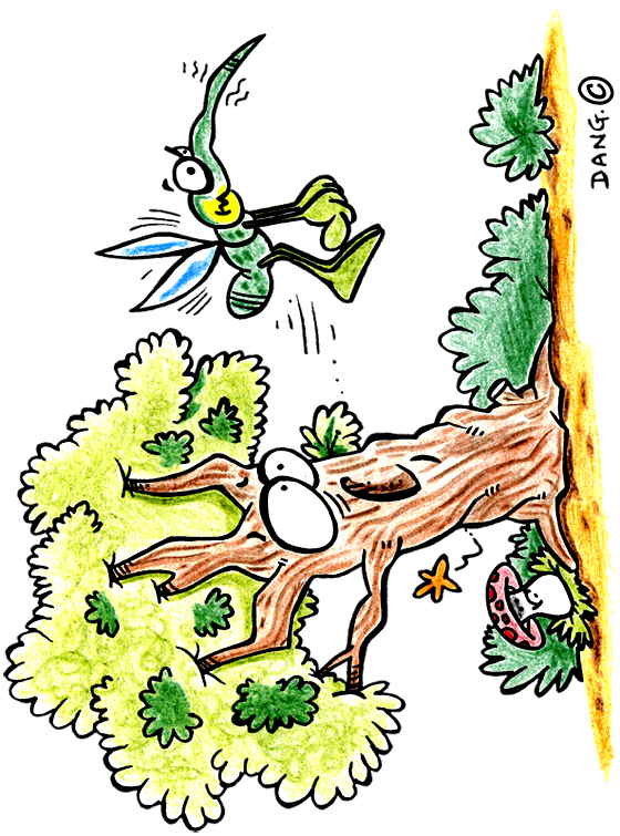 Cliquer sur le bouton imprimer dans le menu en haut  gauche pour imprimer cette illustration pour les enfants. Le petit moustique pique un arbre. Cette illustration inspirée de la chanson pour enfants petit moustique est dessine par l'illustrateur Dang. Si vous l'imprimez vous pourrez vous en inspirer pour travailler votre technique de coloriage.