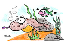 Berlingot nage sous l'eau, dans la mare avec les poissons Illustrations enfants un dessin de Dang à imprimer pour travailler une technique particulière de coloriage, celle de Dang