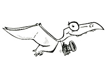 Ptérosys est un ptérodactyl reporter qui fait des reportages photos dans le monde entier. Un dinosaure de choc. Ce coloriage est dessiné par l'illustrateur de presse Dang, il est offert gratuitement sur coloriages pour enfants.com