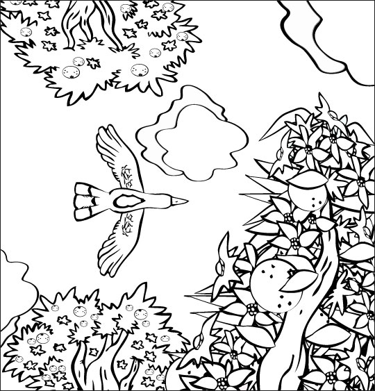 Coloriage pour enfants. Coloriage chanson À la Volette, l'oiseau vole en rasant les orangers, illustrateur Dang