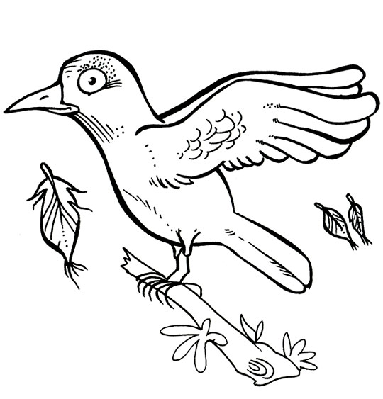 Coloriage pour enfants. Coloriage Alouette, une alouette sur une branche a perdu 3 plumes, thème Oiseaux