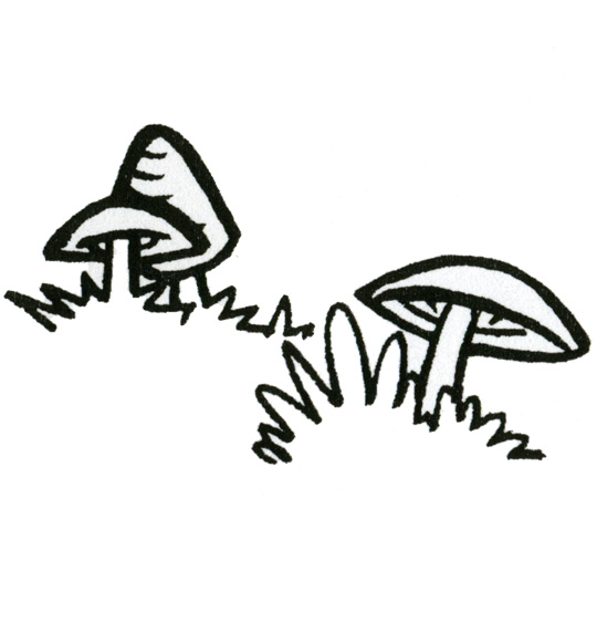 Coloriage pour enfants. Coloriage Promenons-nous dans les bois, trois champignons, thème Champignons