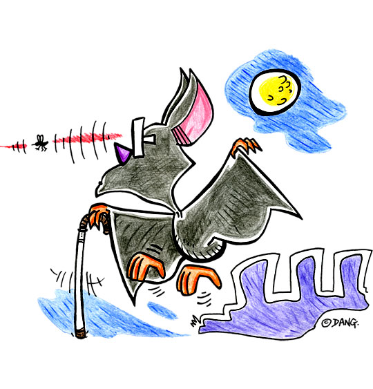 Dessin Chauve-souris, chauve-souris aveugle mais avec un radar, thème Insecte