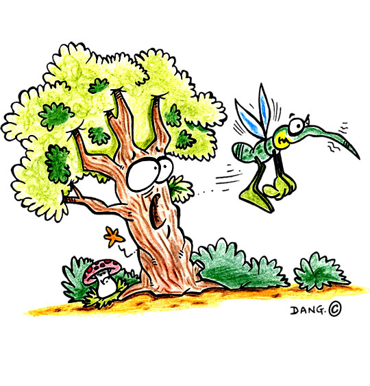 Dessin Petit moustique pique l'arbre, thème Arbres