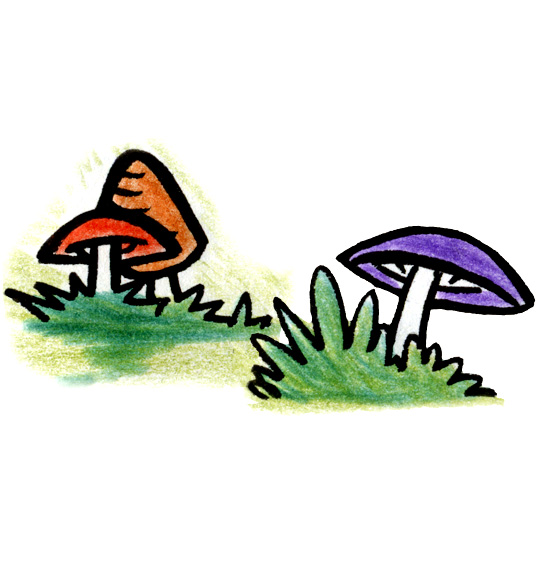 Dessin Promenons-nous dans les bois, trois champignons, thème Champignon