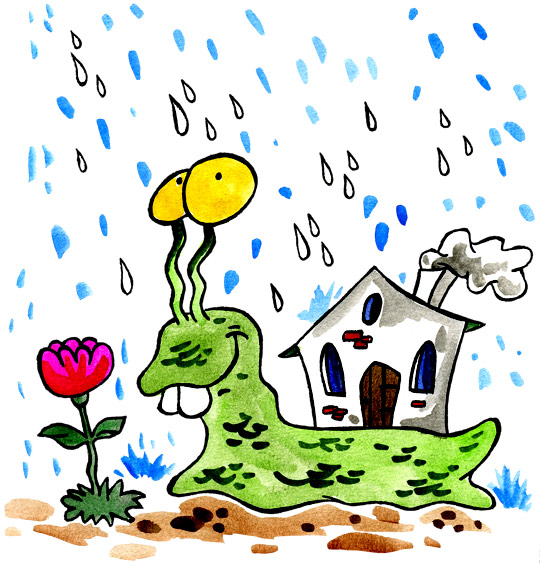 Dessin Petit escargot, un escargot sous la pluie, thème Maisons