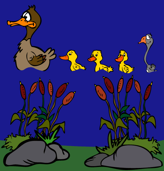 Dessin du vilain petit canard,  maman canne promène ses petits sur l'eau, thème Plantes