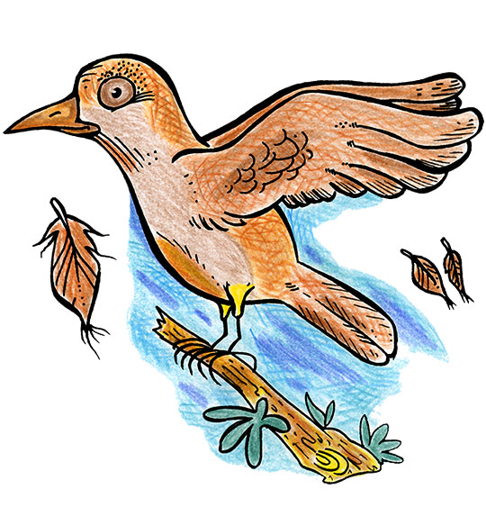 Dessin Alouette, une alouette sur une branche a perdu 3 plumes, illustrateur Dang