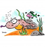 Dessin Chanson Berlingot le crapaud, Berlingot nage sous l'eau