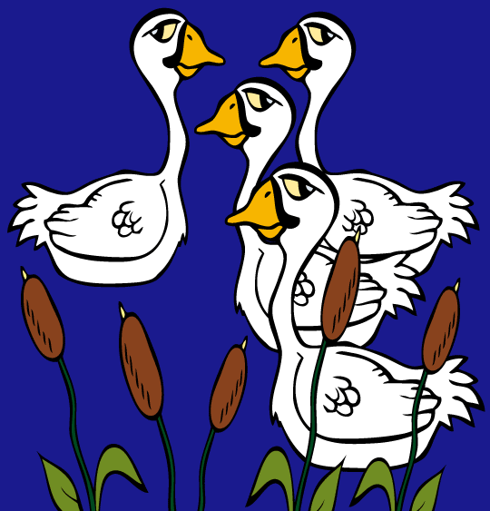 Dessin du vilain petit canard, 4 cygnes nagent dans l'étang, illustrateur Dang